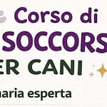 locandina primo soccorso cani - UmbertidEEventi.it