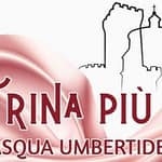 vetrina piu bella umbertide - UmbertidEEventi.it