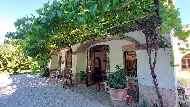 Agriturismo Vigne di Pace – Umbertide