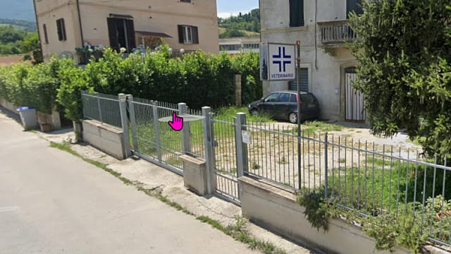 Veterinario Bottaccioli Rebecca