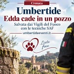 Cane cade in un pozzo a Umbertide 2026 → UmbertideEventi.it
